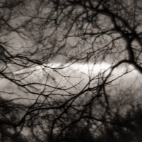 7 52 5 Zomb E Week54©JamesECockroft 20130129