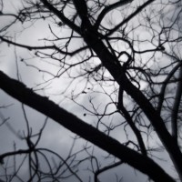 7 52 5 Zomb E Week60©JamesECockroft 20130129