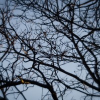 7 52 5 Zomb E Week62©JamesECockroft 20130130