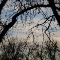 7 52 5 Zomb E Week80©JamesECockroft 20130131