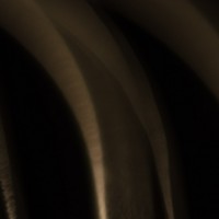 7 52 8 macrobstractions1920s opening night©JamesECockroft 20130223