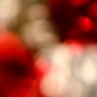 7 52 8 macrobstractionsabstraktes bild©JamesECockroft 20130218