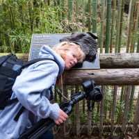 Dallas Zoo425©JamesECockroft 20130209