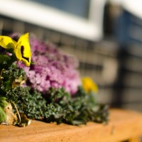 Farmers Market18©JamesECockroft 20130202