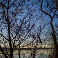 White Rock DPW132©JamesECockroft 20130216