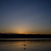 White Rock DPW63©JamesECockroft 20130216