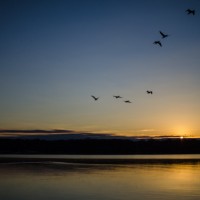 White Rock DPW96©JamesECockroft 20130216