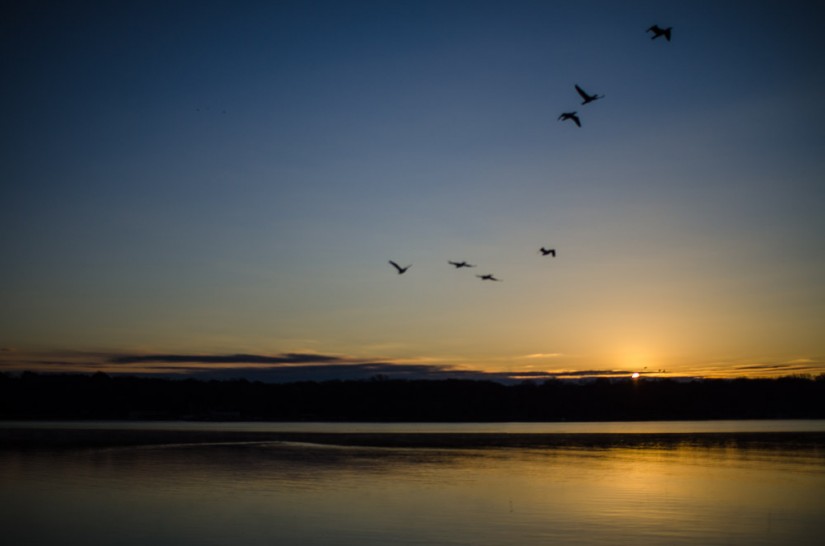 White Rock DPW96©JamesECockroft 20130216