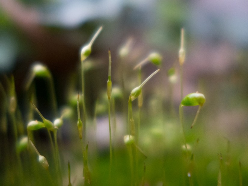 mm1©JamesECockroft 20130211