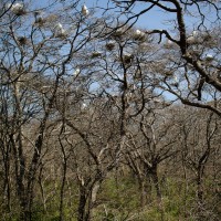 7 52 1118©JamesECockroft 20130312