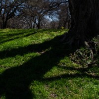 7 52 111©JamesECockroft 20130312