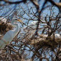 7 52 1137©JamesECockroft 20130313