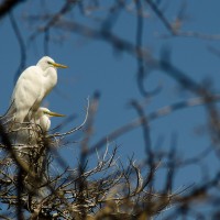 7 52 1149©JamesECockroft 20130313