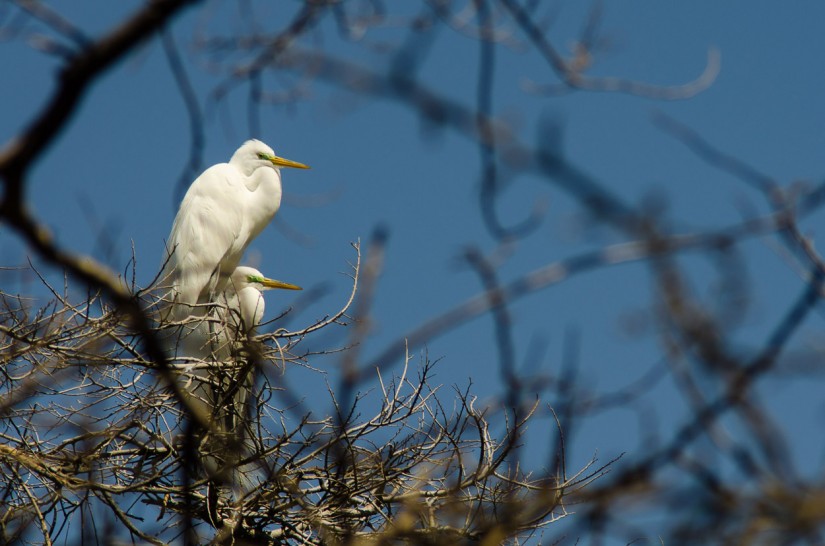 7 52 1149©JamesECockroft 20130313