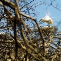 7 52 1164©JamesECockroft 20130313