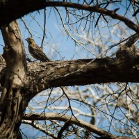 7 52 1190©JamesECockroft 20130313