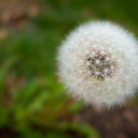 7 52 1210©JamesECockroft 20130322