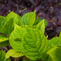 7 52 1216©JamesECockroft 20130323