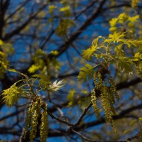 7 52 124©JamesECockroft 20130320