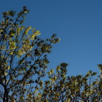 7 52 126©JamesECockroft 20130320