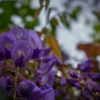 7 52 127©JamesECockroft 20130321