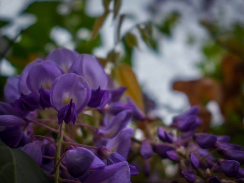 7 52 127©JamesECockroft 20130321