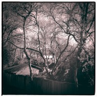 7 52 1367©JamesECockroft 20130326