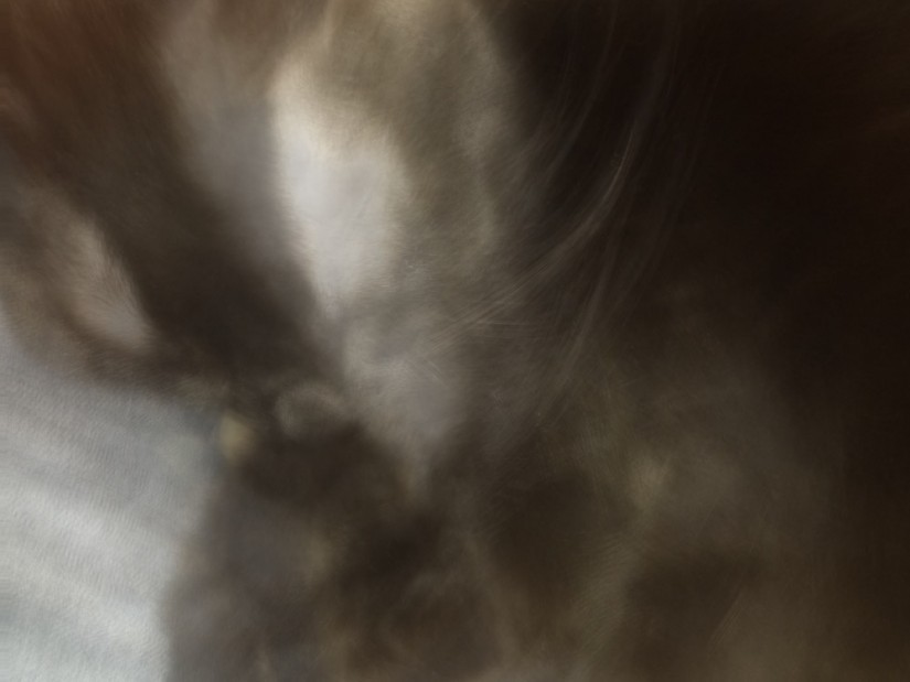 iP 20130224 030116©JamesECockroft 20130225