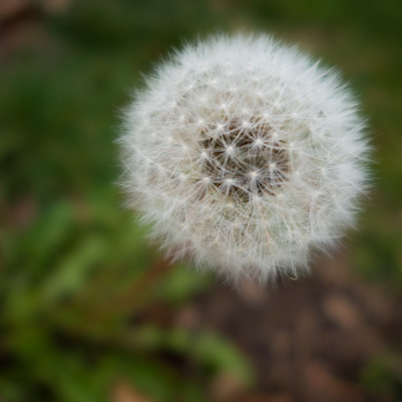 mm6©JamesECockroft 20130322