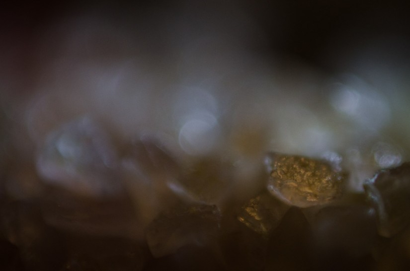 mm8©JamesECockroft 20130306 2