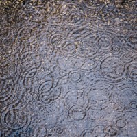 7 52 14 April Showers21©JamesECockroft 20130403