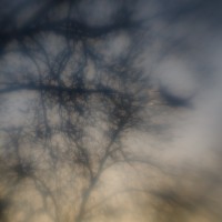 7 52 15 Lens Babylangoliers©JamesECockroft 20130410