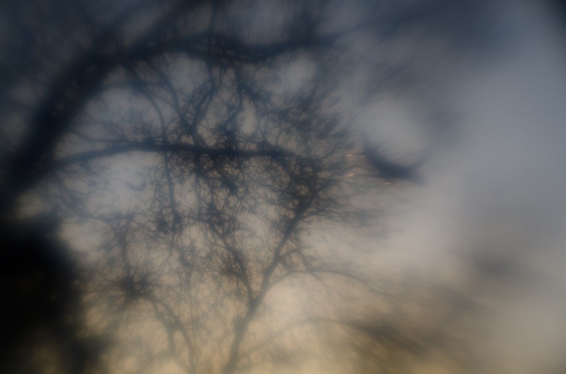 7 52 15 Lens Babylangoliers©JamesECockroft 20130410