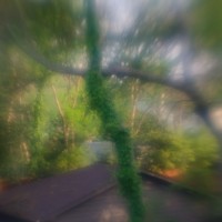 7 52 15 Lens Babylight©JamesECockroft 20130409