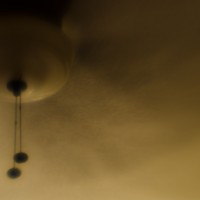 7 52 15 Lens Babynoir©JamesECockroft 20130408