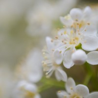 7 52 16 22©JamesECockroft 20130417