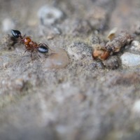 7 52 16 2©JamesECockroft 20130417