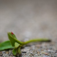 7 52 16 30©JamesECockroft 20130417