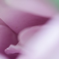 7 52 16 31©JamesECockroft 20130417