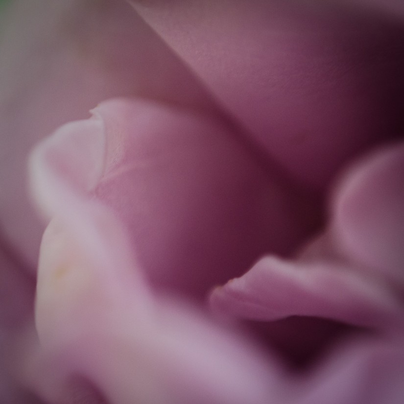 7 52 16 32©JamesECockroft 20130417