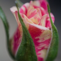 7 52 16 4©JamesECockroft 20130417