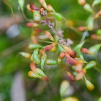 7 52 16 7©JamesECockroft 20130417