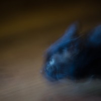 7 52 171 spooky Ivan©JamesECockroft 20130424