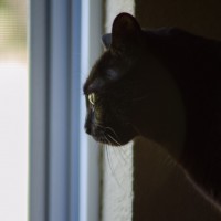 7 52 174 Ivan©JamesECockroft 20130424