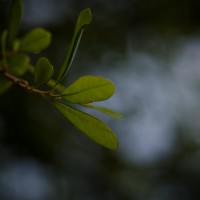 7 52 1744 one of these is not like the other©JamesECockroft 20130427