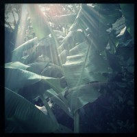 7 52 20 One Camera One Lens30©JamesECockroft 20130516