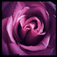 7 52 20 One Camera One Lens53©JamesECockroft 20130518