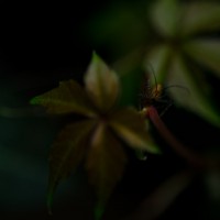 7 52 2117©JamesECockroft 20130519