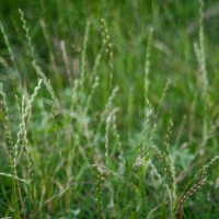 7 52 2135©JamesECockroft 20130524