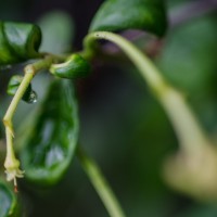 7 52 2142©JamesECockroft 20130525